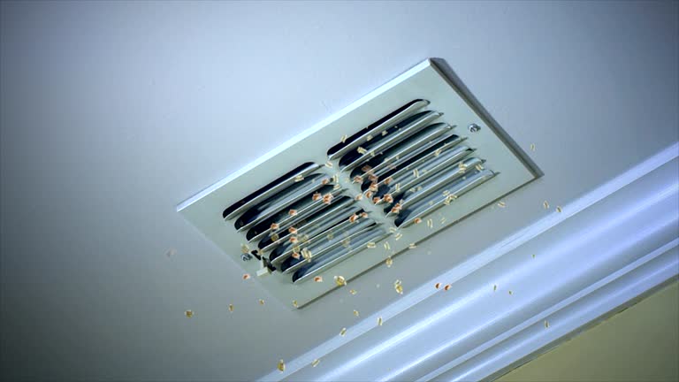 Best Air Duct Cleaning Near Me  in Tutwiler, MS