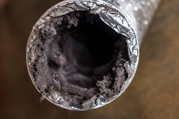 Best Best Air Duct Cleaning Company  in Tutwiler, MS