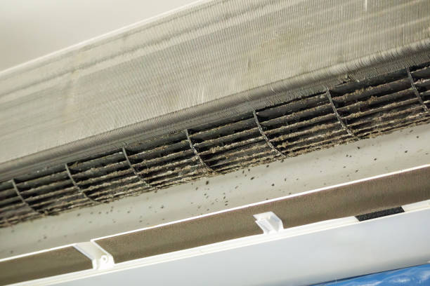 Best Local Air Duct Cleaning Services  in Tutwiler, MS